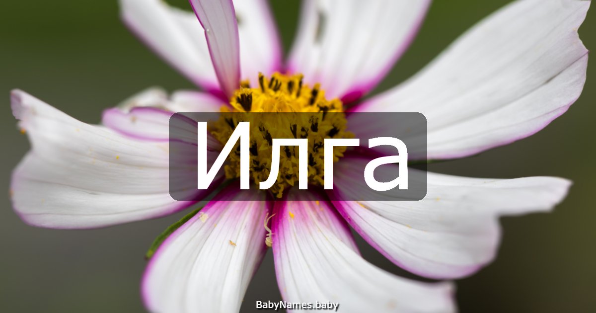 Илга