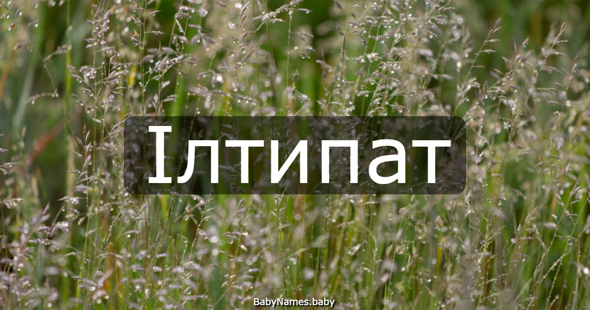Ілтипат
