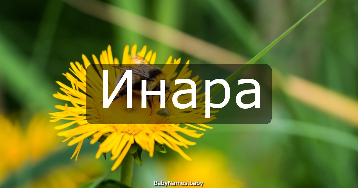 Инара