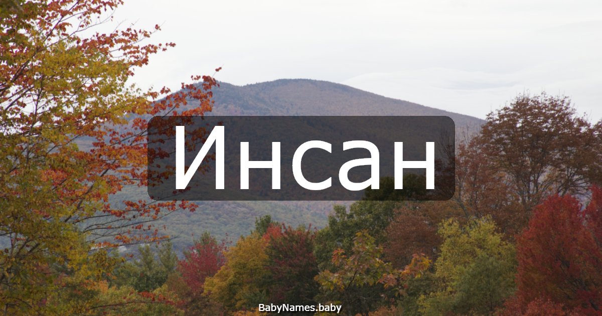 Инсан