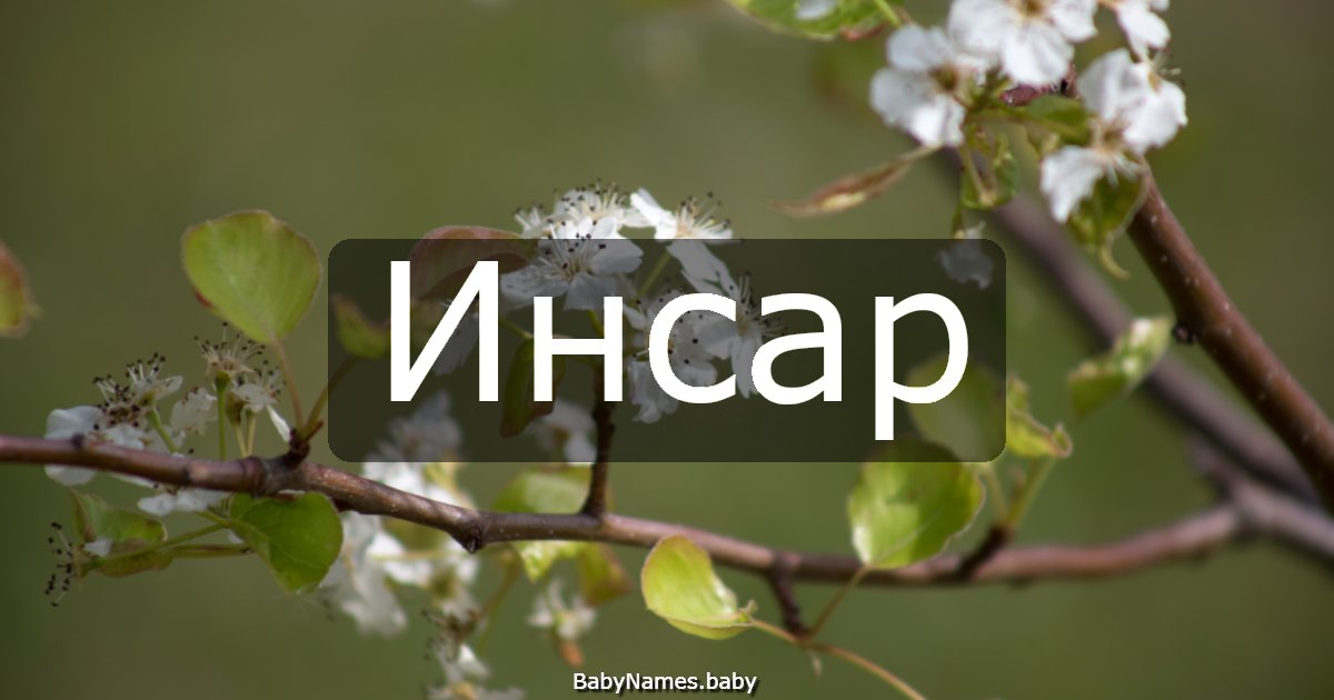 Инсар
