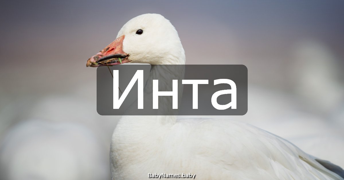 Инта
