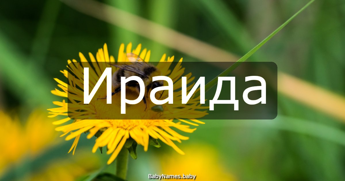 Ираида