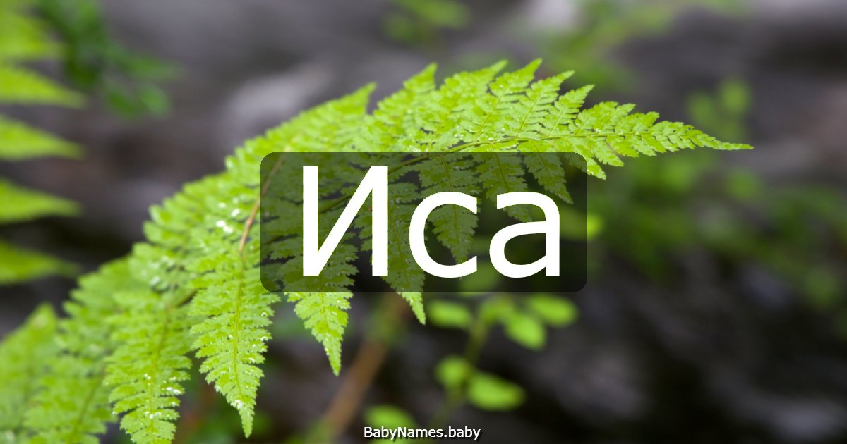 Иса