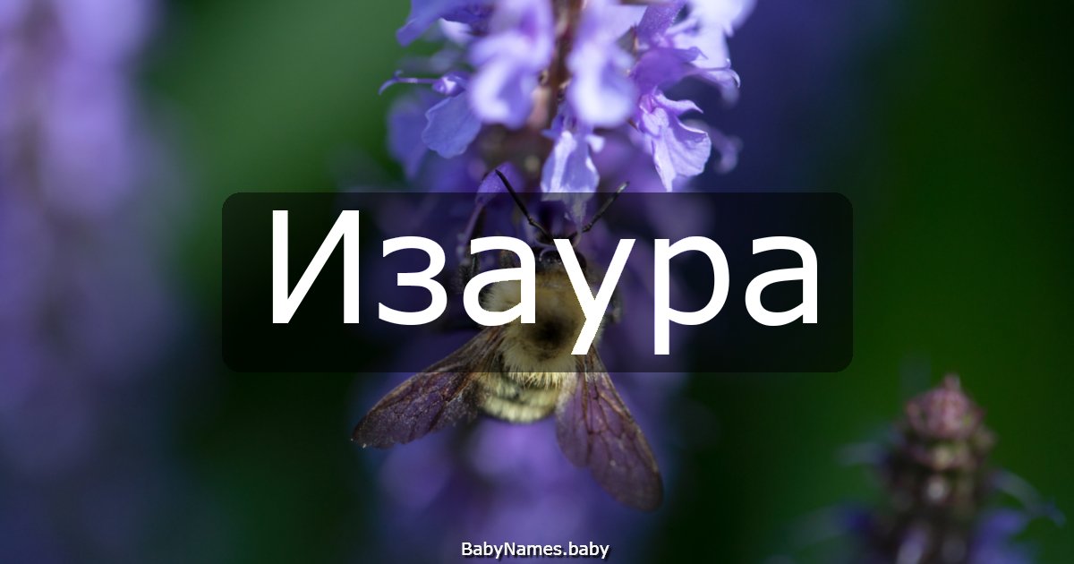 Изаура