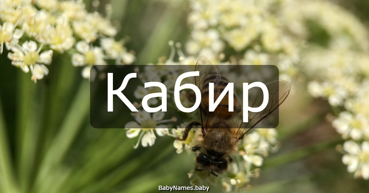 Кабир
