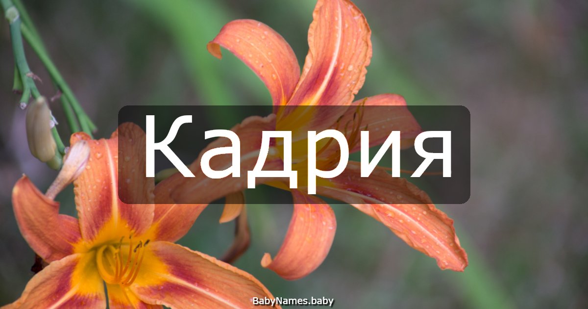 Кадрия