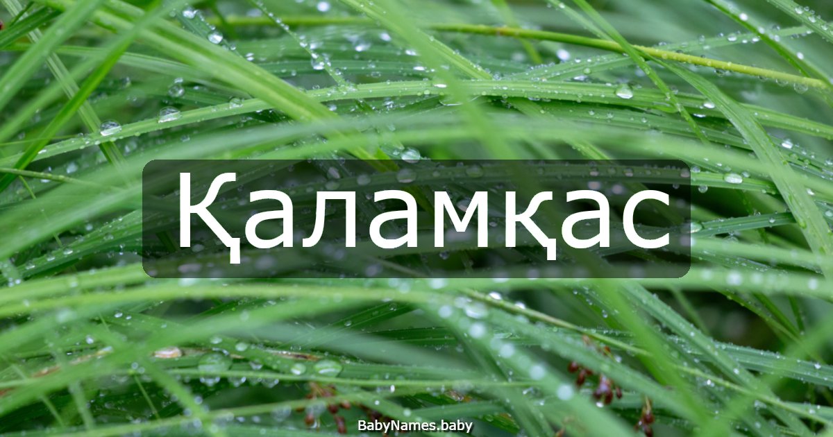 Қаламқас