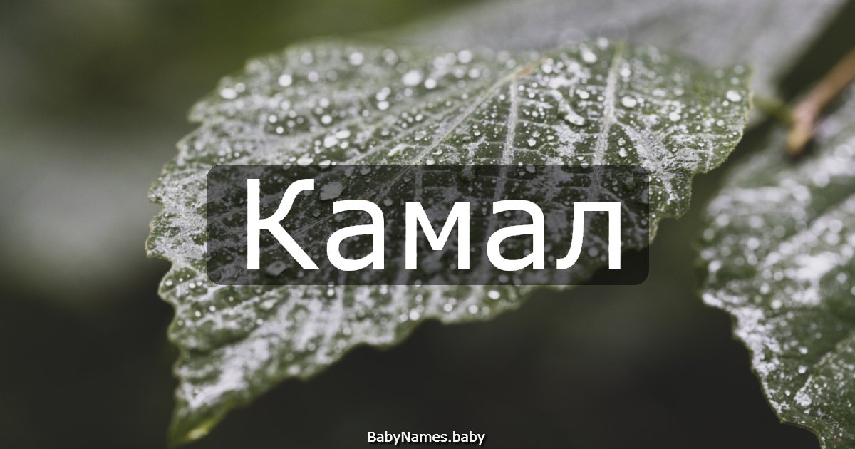 Камал