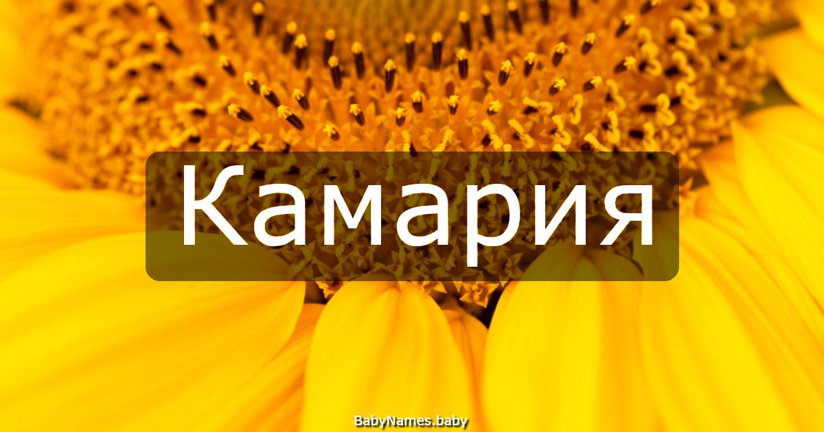 Камария