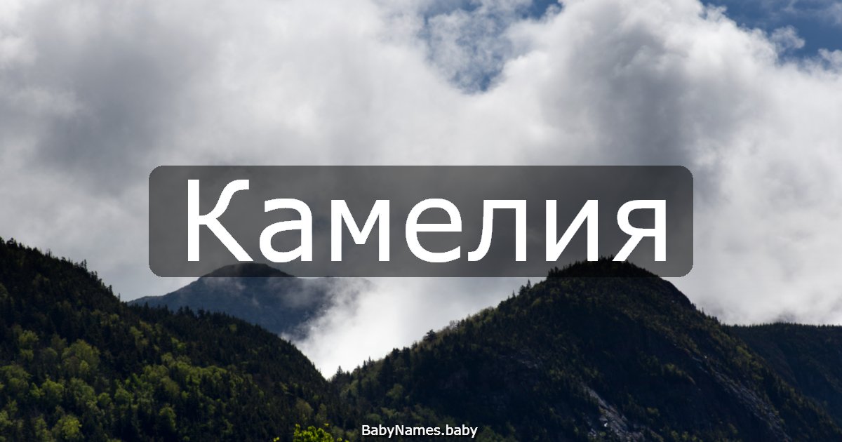 Камелия