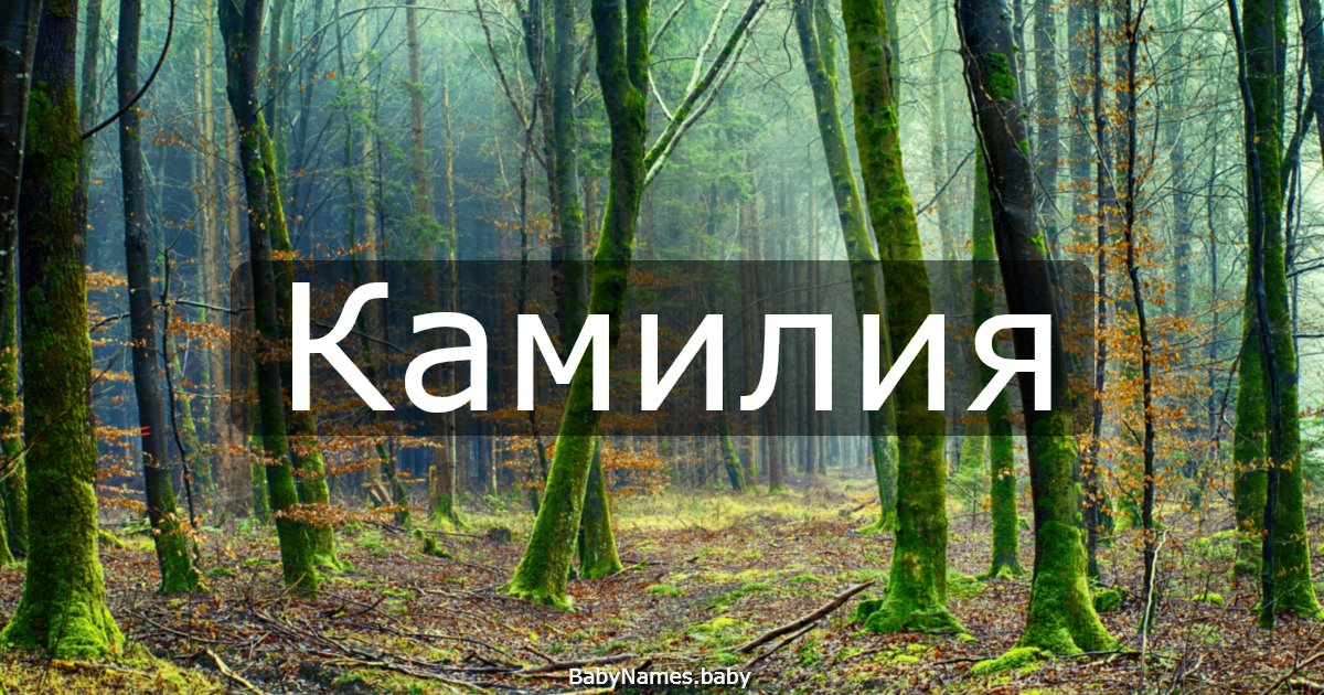 Камилия