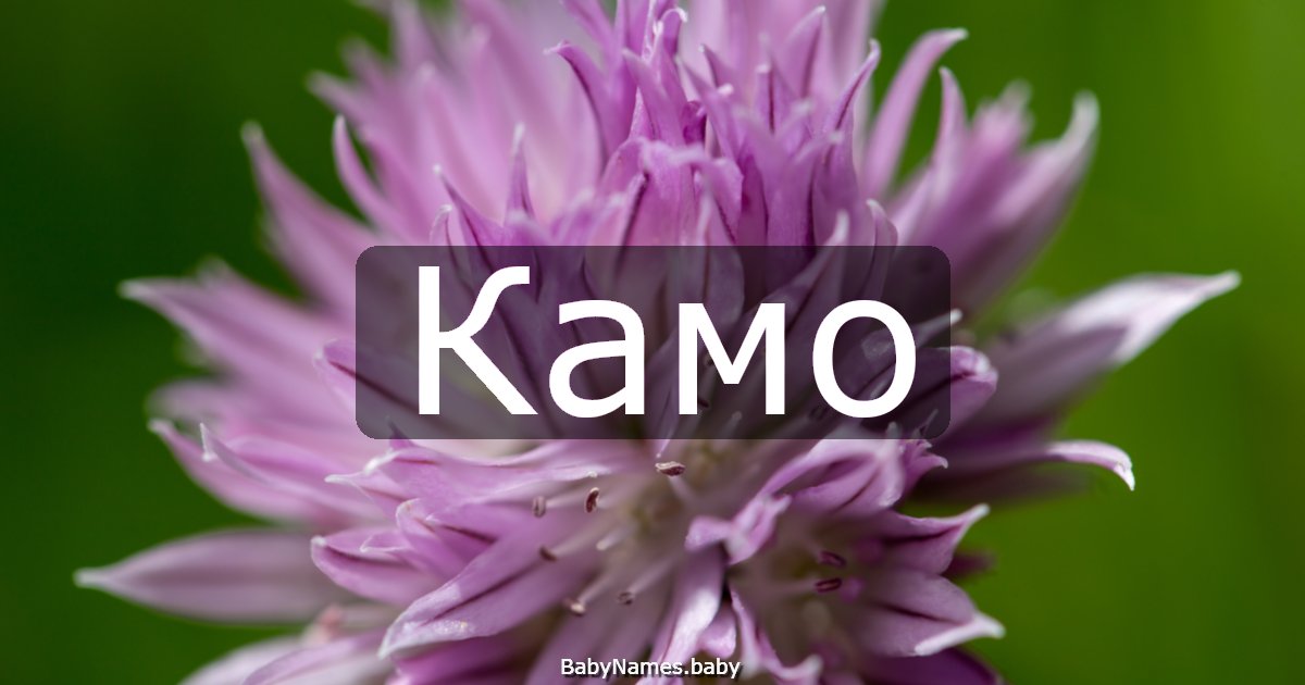 Камо