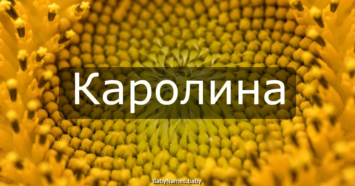 Каролина