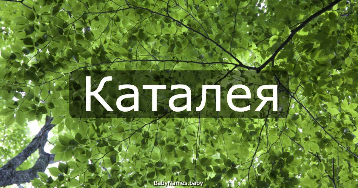 Каталея