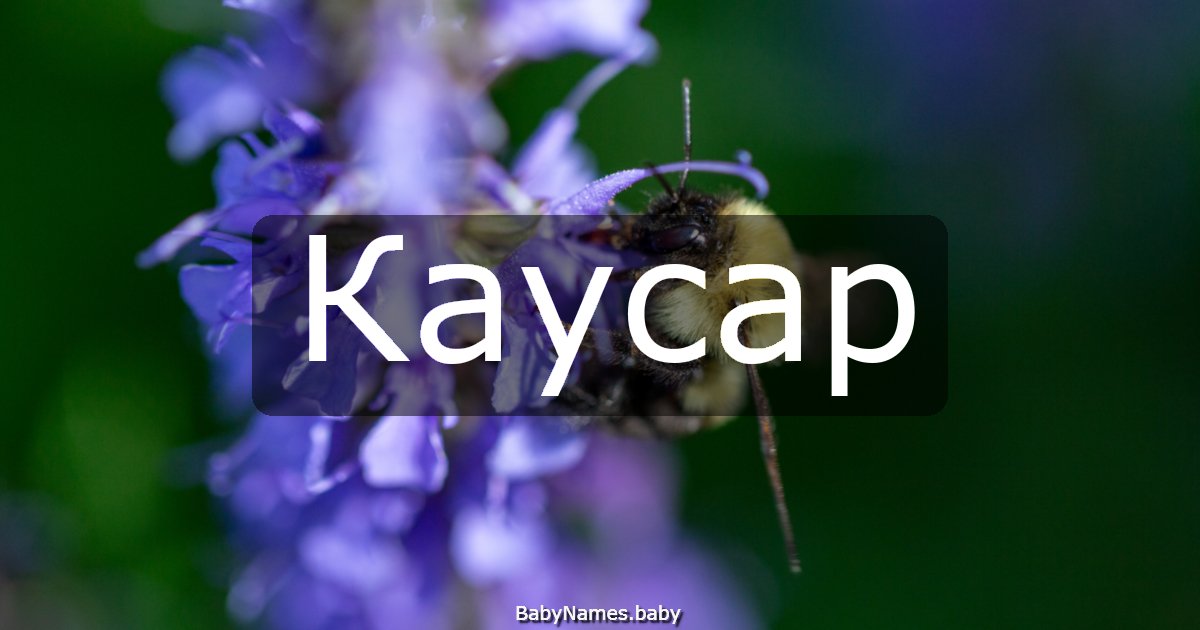 Каусар