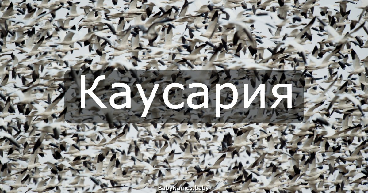Каусария