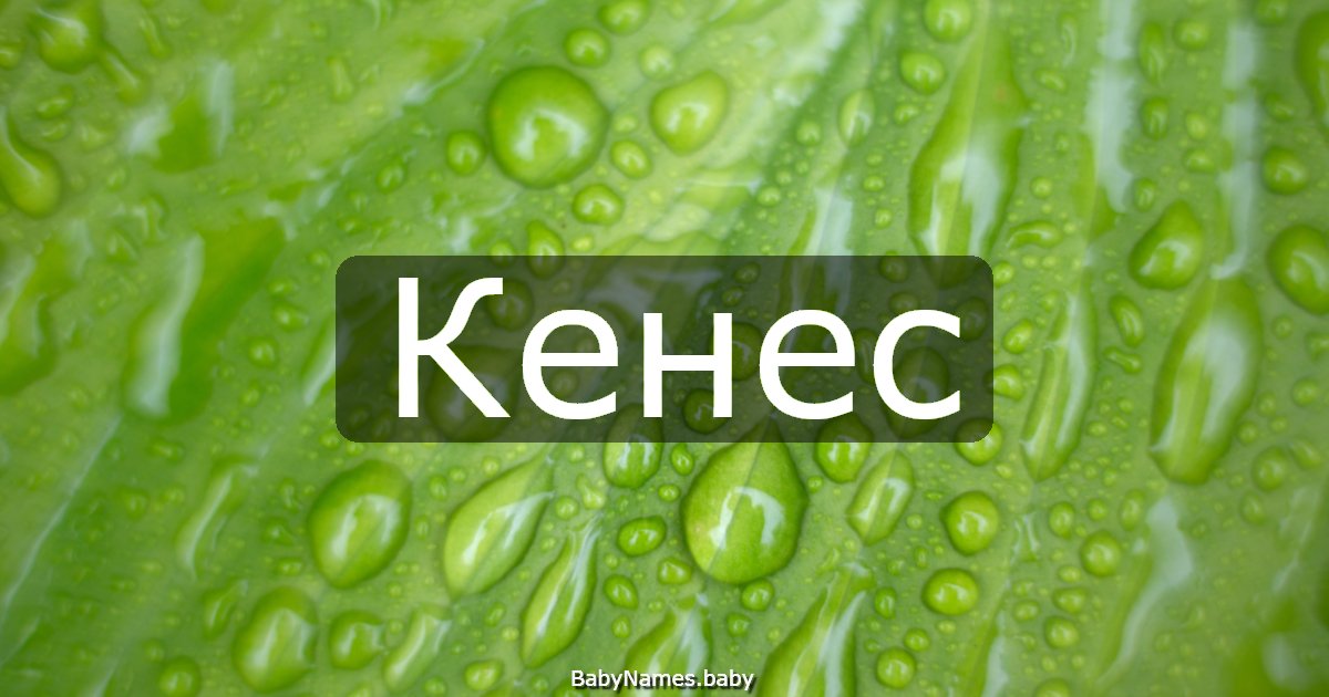 Кенес