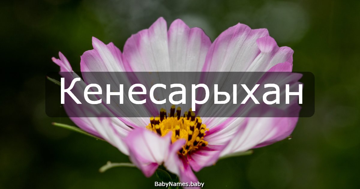 Кенесарыхан
