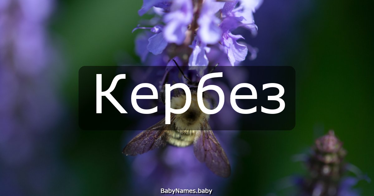 Кербез