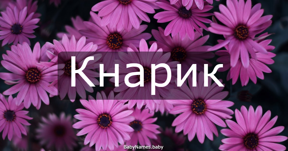 Кнарик