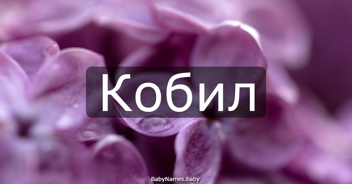 Кобил