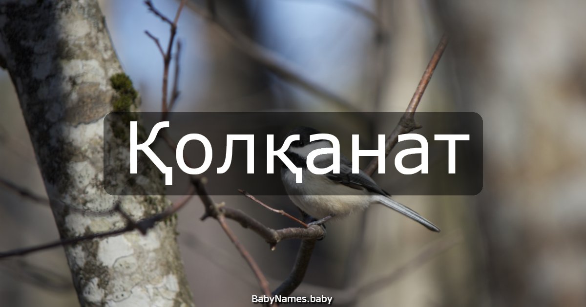 Қолқанат
