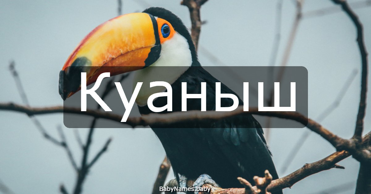 Куаныш