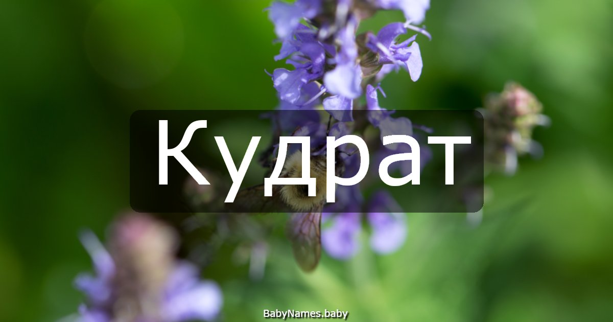 Кудрат