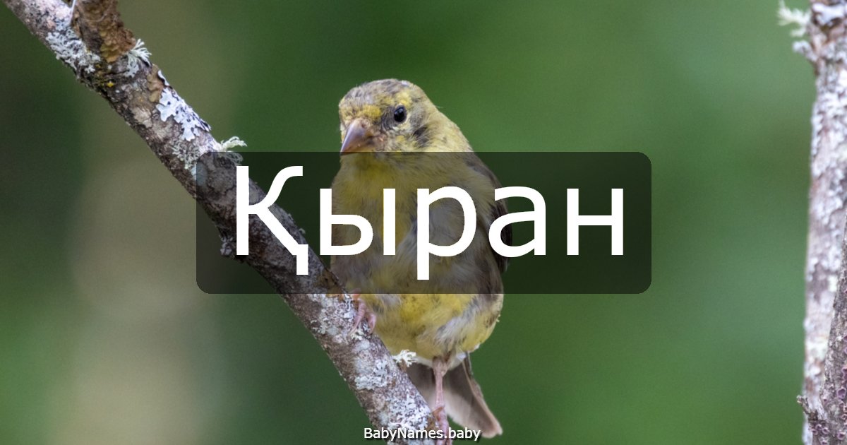 Қыран
