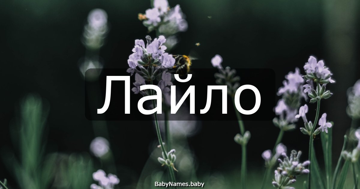 Лайло