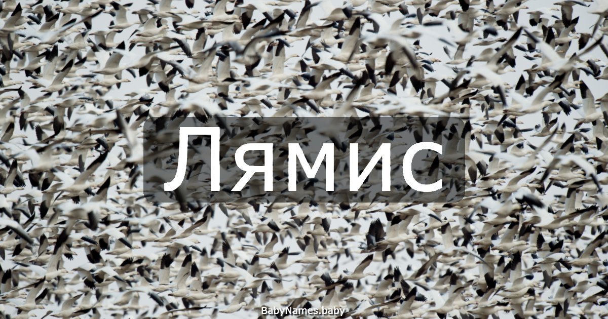Лямис