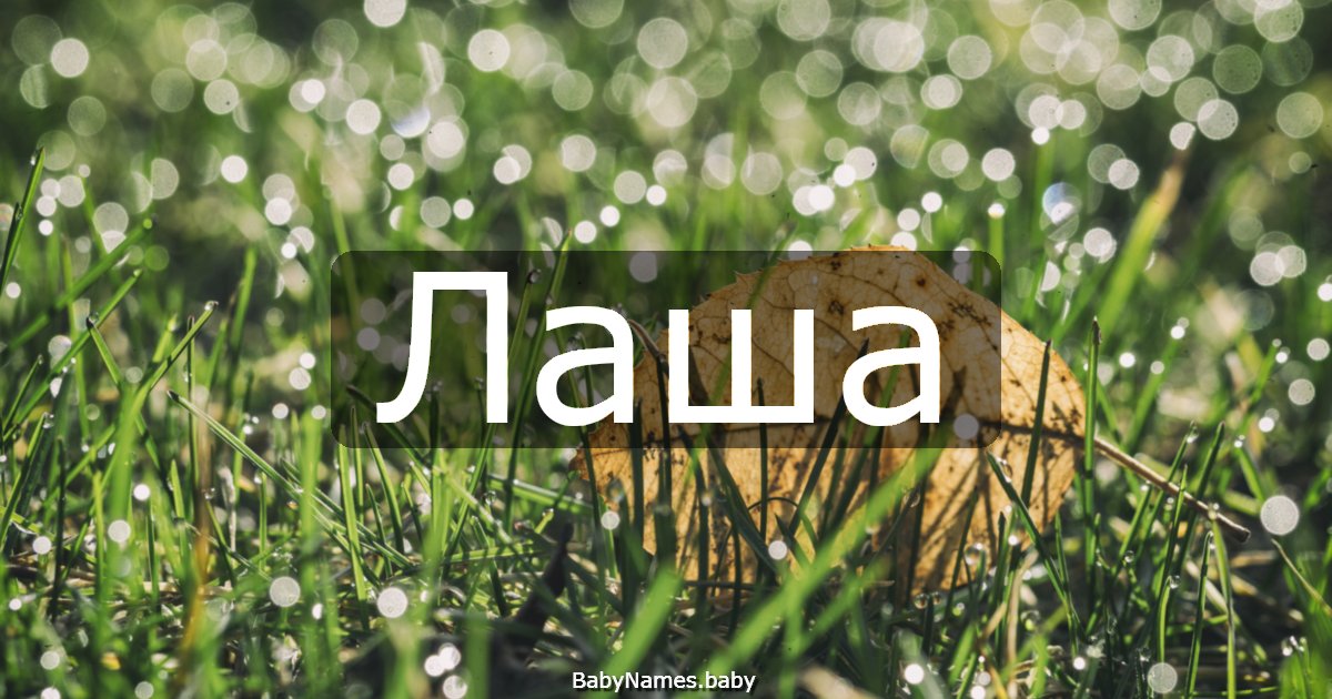 Лаша
