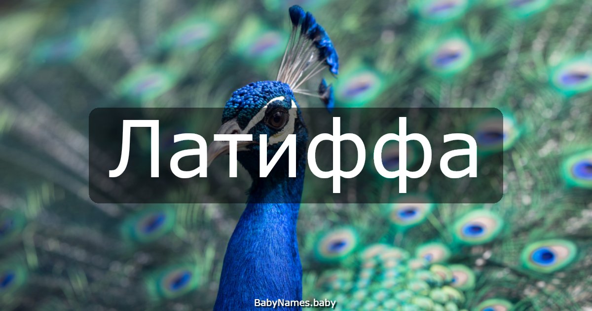 Латиффа