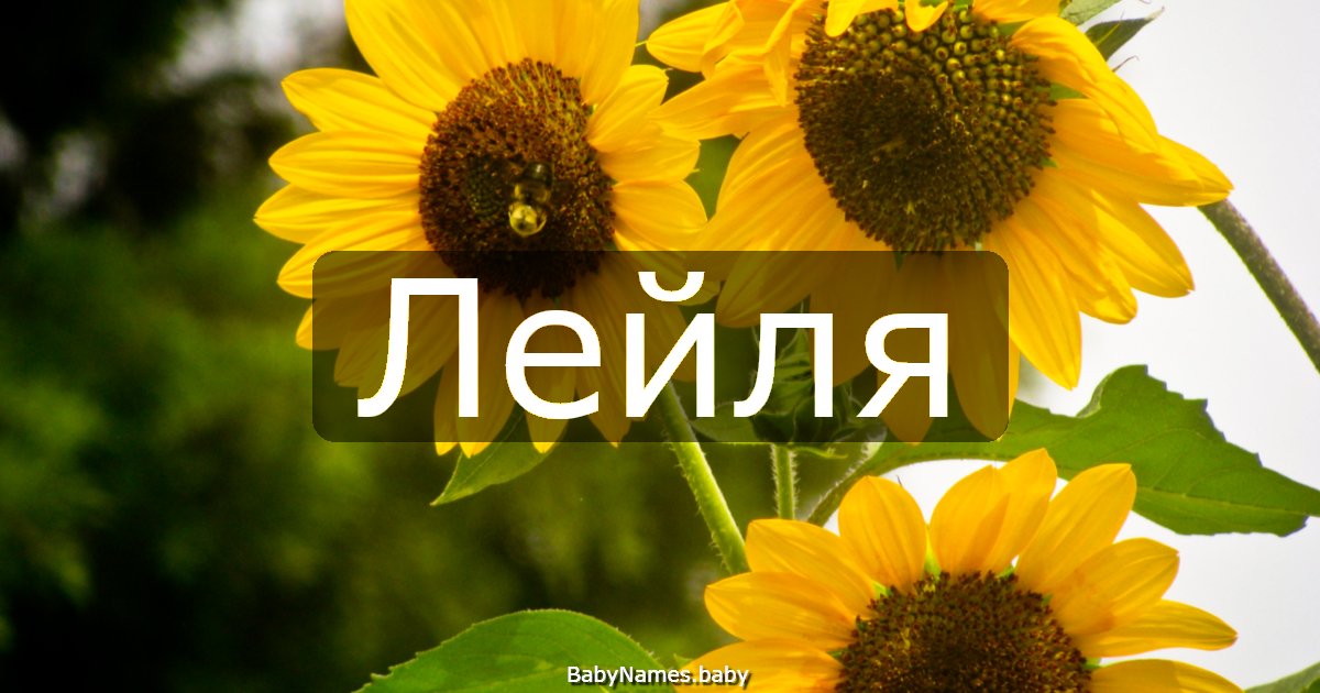 Лейля