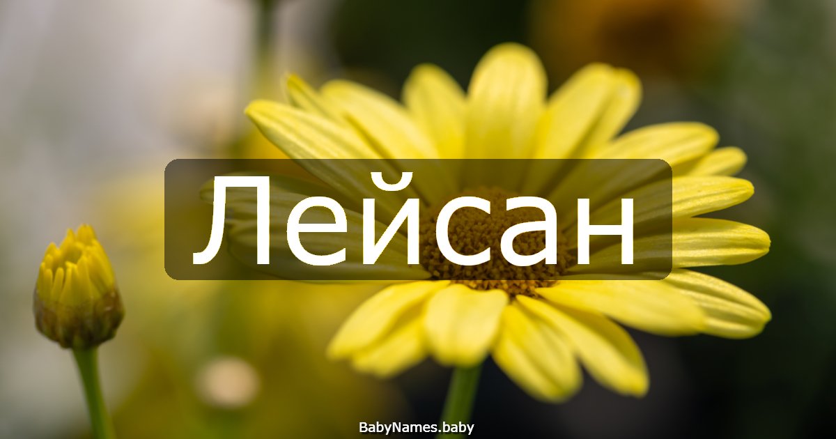 Лейсан