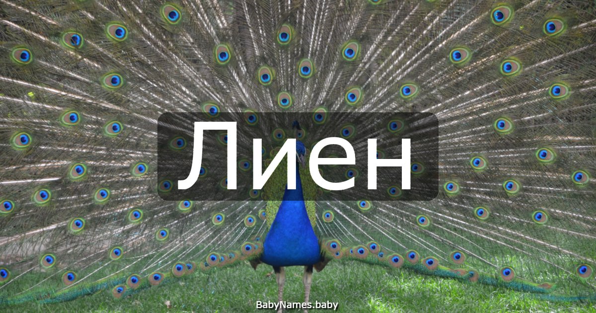 Лиен