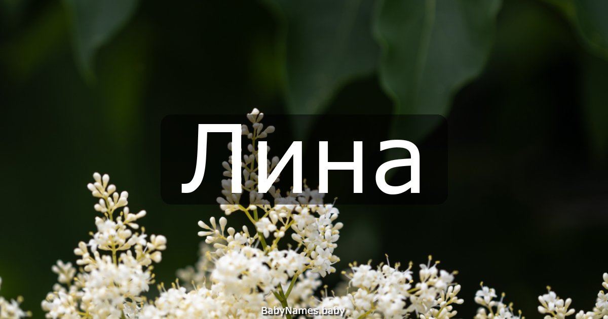 Лина