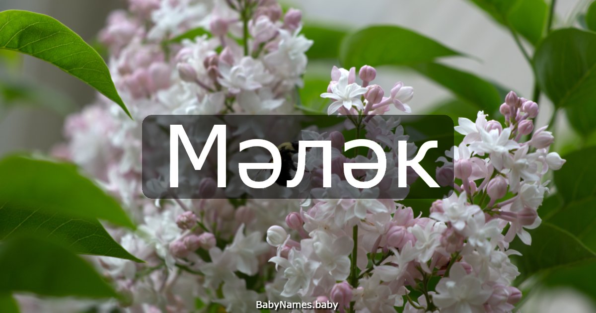 Мәләк