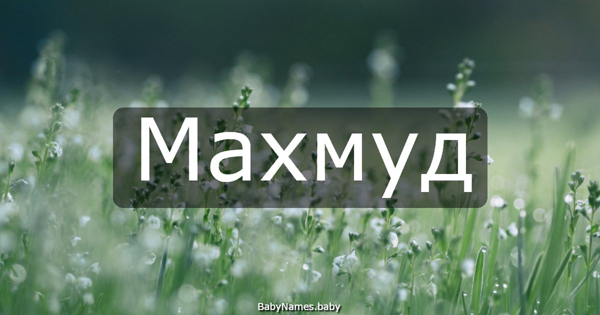 Махмуд