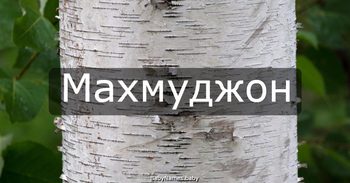 Махмуджон