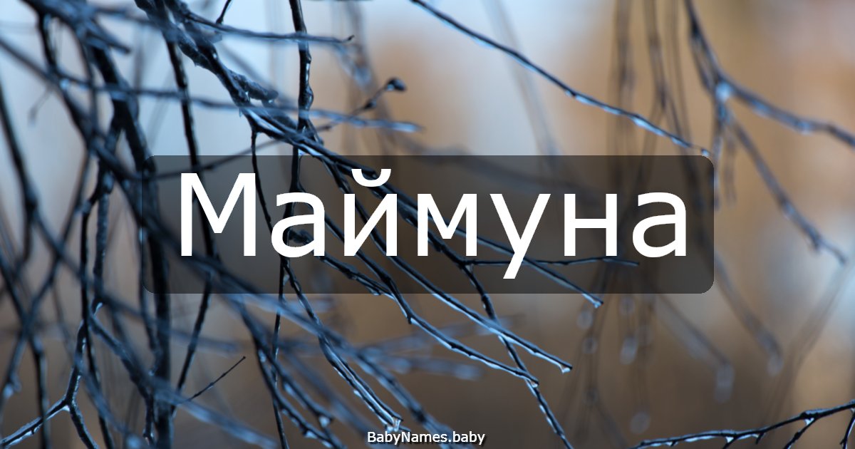 Маймуна