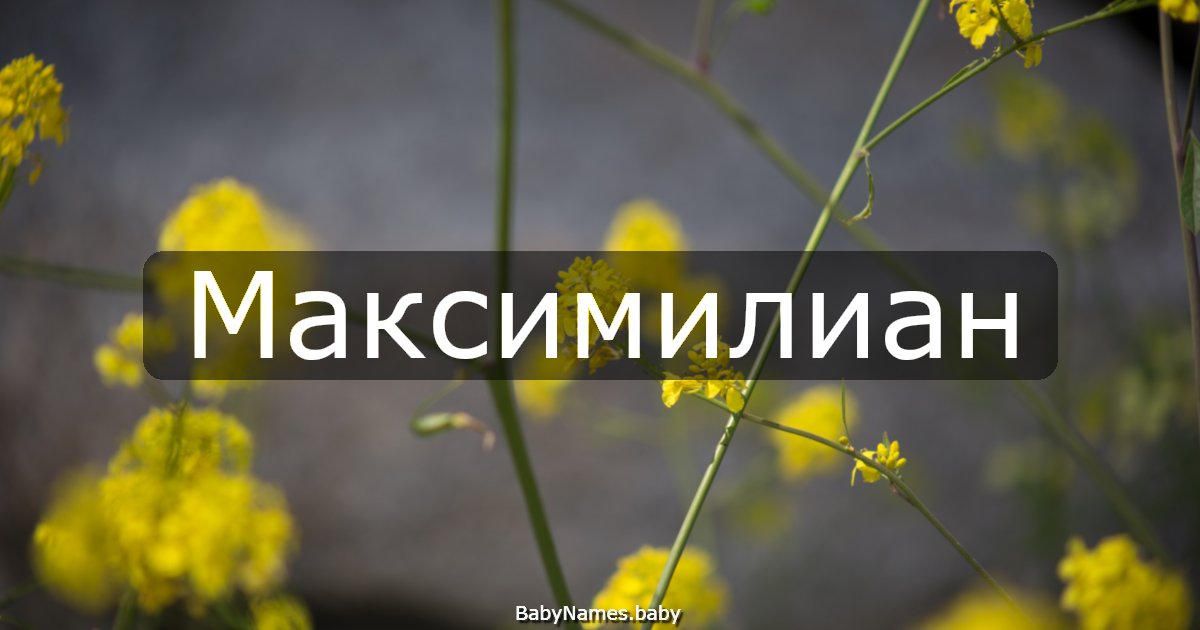 Максимилиан