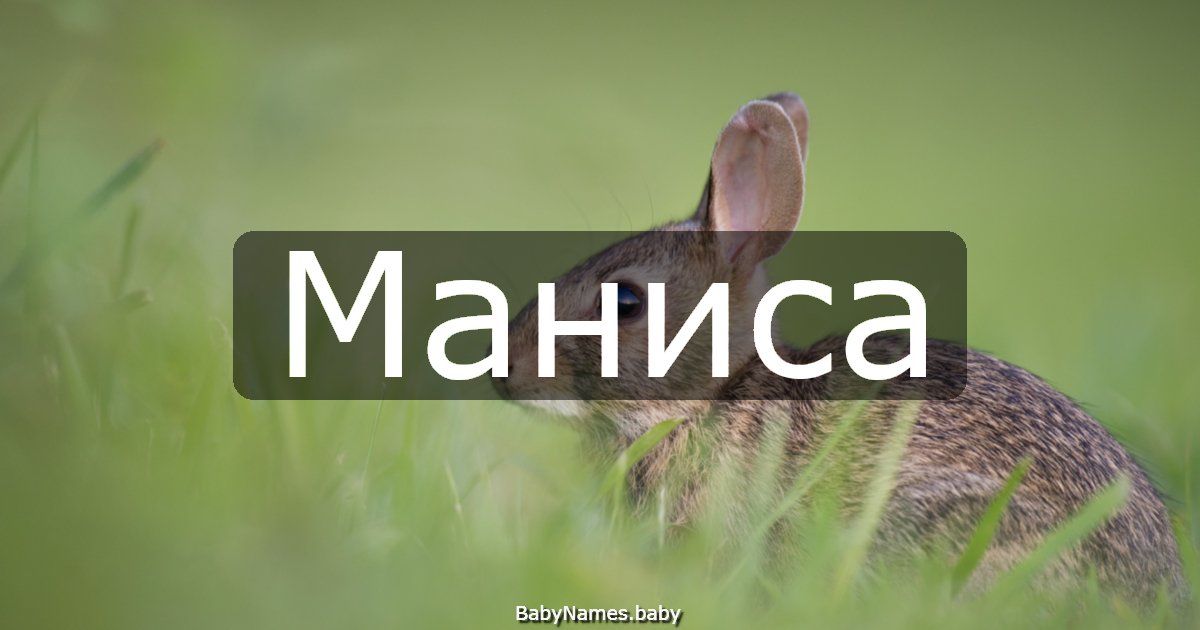 Маниса