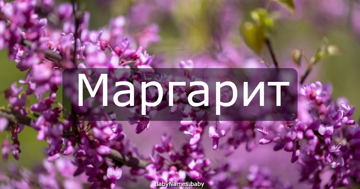 Маргарит
