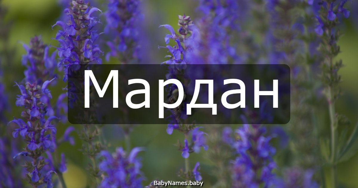 Мардан