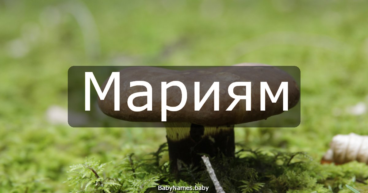 Мариям