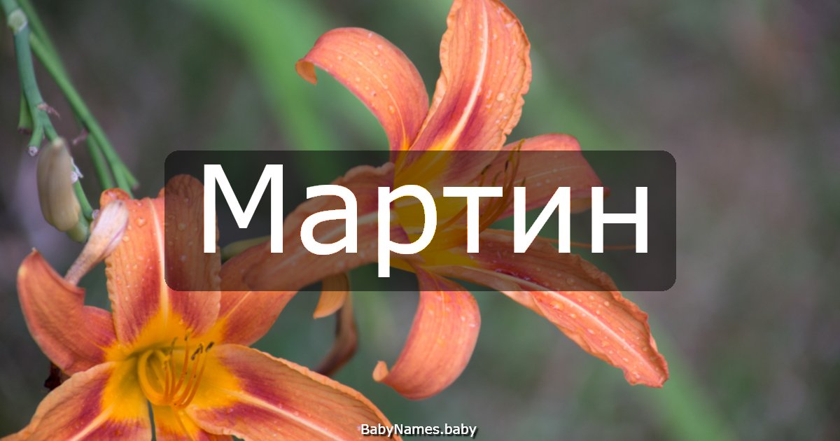 Мартин