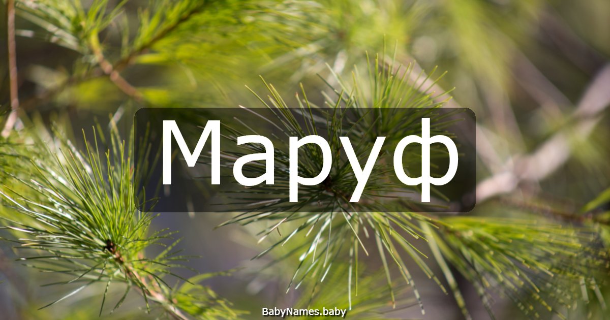 Маруф