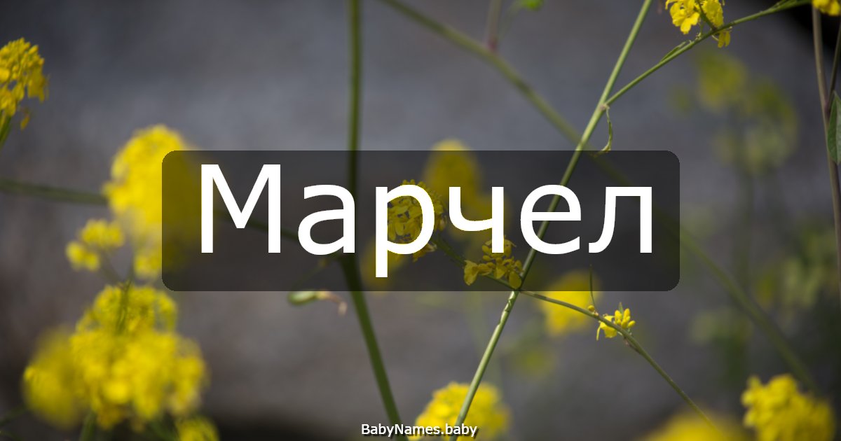 Марчел